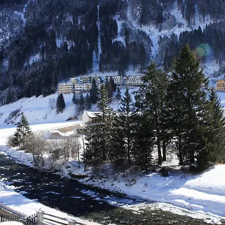 Alpinea *