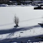 Alpinea *